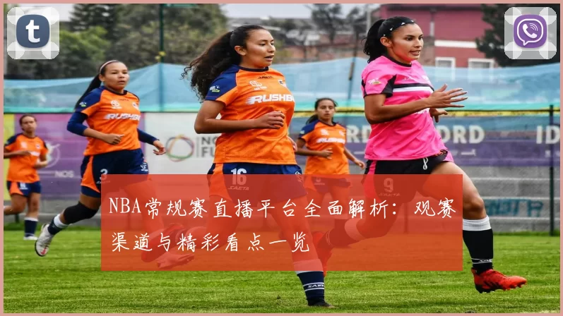 NBA常规赛直播平台全面解析：观赛渠道与精彩看点一览